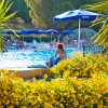 Piscina con persone e ombrelloni blu, circondata da piante verdi e fiori gialli.
