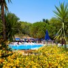 Vista diurna di una piscina con gente, ombrelloni blu, palme e fiori gialli.