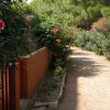 Sentiero ombreggiato fiancheggiato da arbusti in fiore e un basso muro di mattoni.