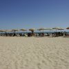 Spiaggia con ombrelloni gialli e persone al mare.