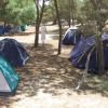 Tende da campeggio blu e verdi tra gli alberi in un'area boschiva.