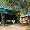 Bungalow in legno con sedie e tavolo all'esterno, circondato da alberi.