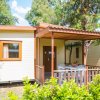 Casa mobile con veranda coperta, circondata da piante e alberi.