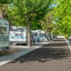 Strada ombreggiata con camper parcheggiati ai lati.