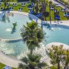 Vista aerea di una piscina all'aperto con palme e lettini.