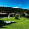 Un giardino con sdraio e ombrellone su erba verde.