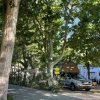 Auto con tenda sotto alberi in campeggio.