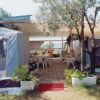 Una veranda coperta da una tenda, con tavoli, sedie e piante in vasi, situata tra alberi.