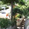 Scalinata tra piante rigogliose conduce a una terrazza con ombrelloni e tavoli all'aperto.