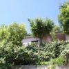 Vista dal basso di un edificio nascosto da alberi e piante verdi.