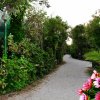 Sentiero alberato con fiori colorati ai lati.