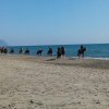 Persone a cavallo su una spiaggia.