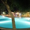 Piscina illuminata di notte con albero in primo piano.