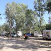 Un campeggio con diverse roulotte e camper, circondati da alberi.