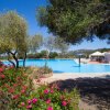 Piscina circondata da alberi e cespugli di fiori rosa, cielo sereno.
