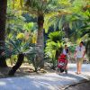 Due persone camminano su un sentiero tra palme con passeggino rosso.