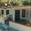 Bungalow bianco con veranda e piante.