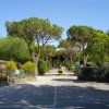 Camping Dal Pino (MS) Toscana