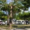 Camping Dal Pino (MS) Toscana