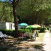 Percorso in un campeggio con case mobili, tavoli con sedie e ombrelloni colorati sotto gli alberi.