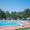 Una piscina all'aperto con diversi bagnanti, circondata da lettini e alberi.