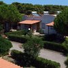 Capanne con tetti in tegole tra gli alberi, con vialetti e giardini curati.