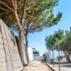 Viale con alberi e recinzione metallica.