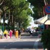 Via alberata con persone, negozi e un furgone bianco parcheggiato.
