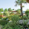 Un giardino con palme e gazebo in legno.