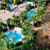 Complesso di piscine circondate da palme.